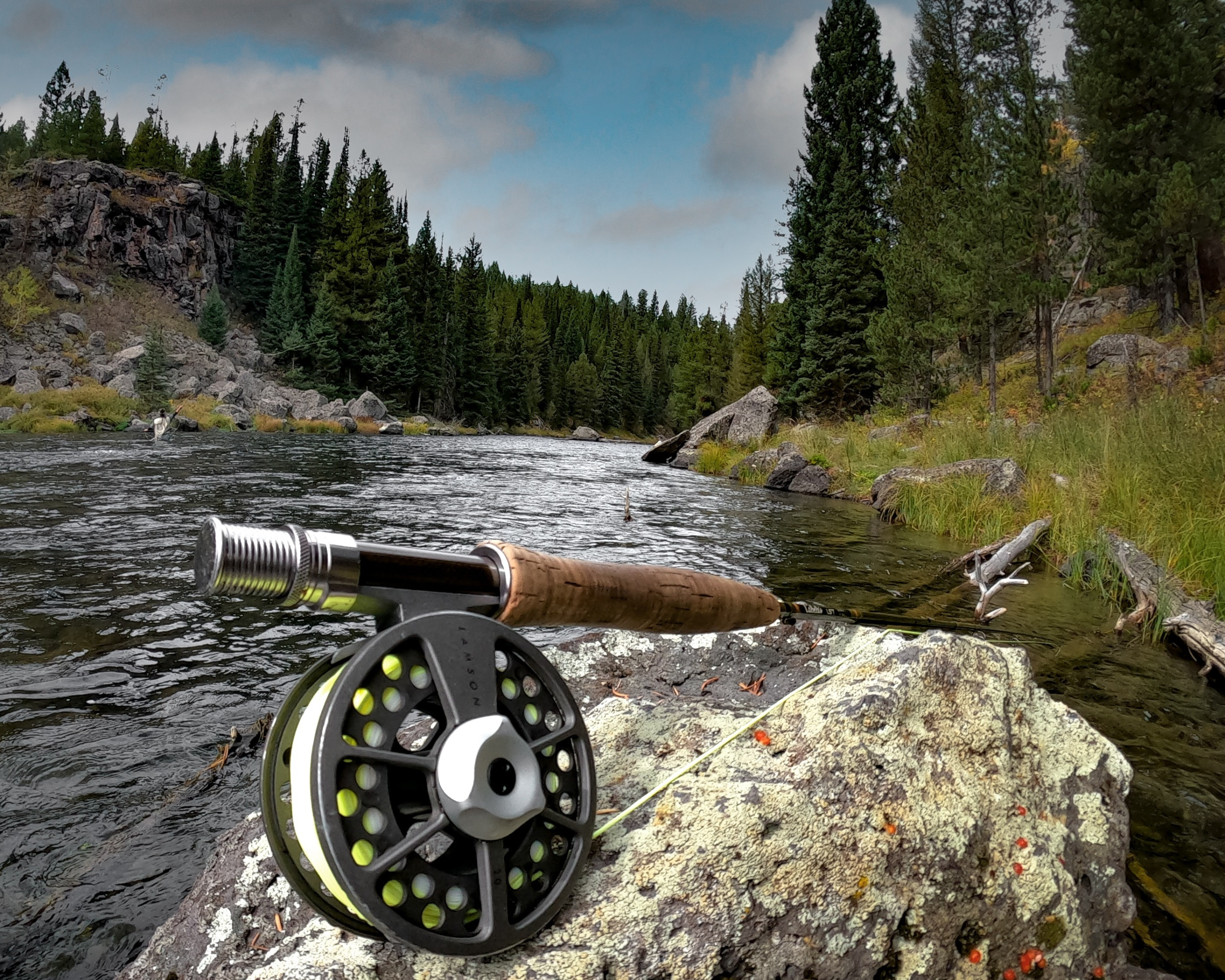 Fly rod for fly fishing