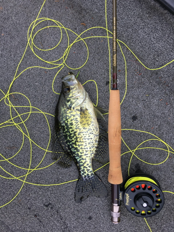 Fly pole and crappie