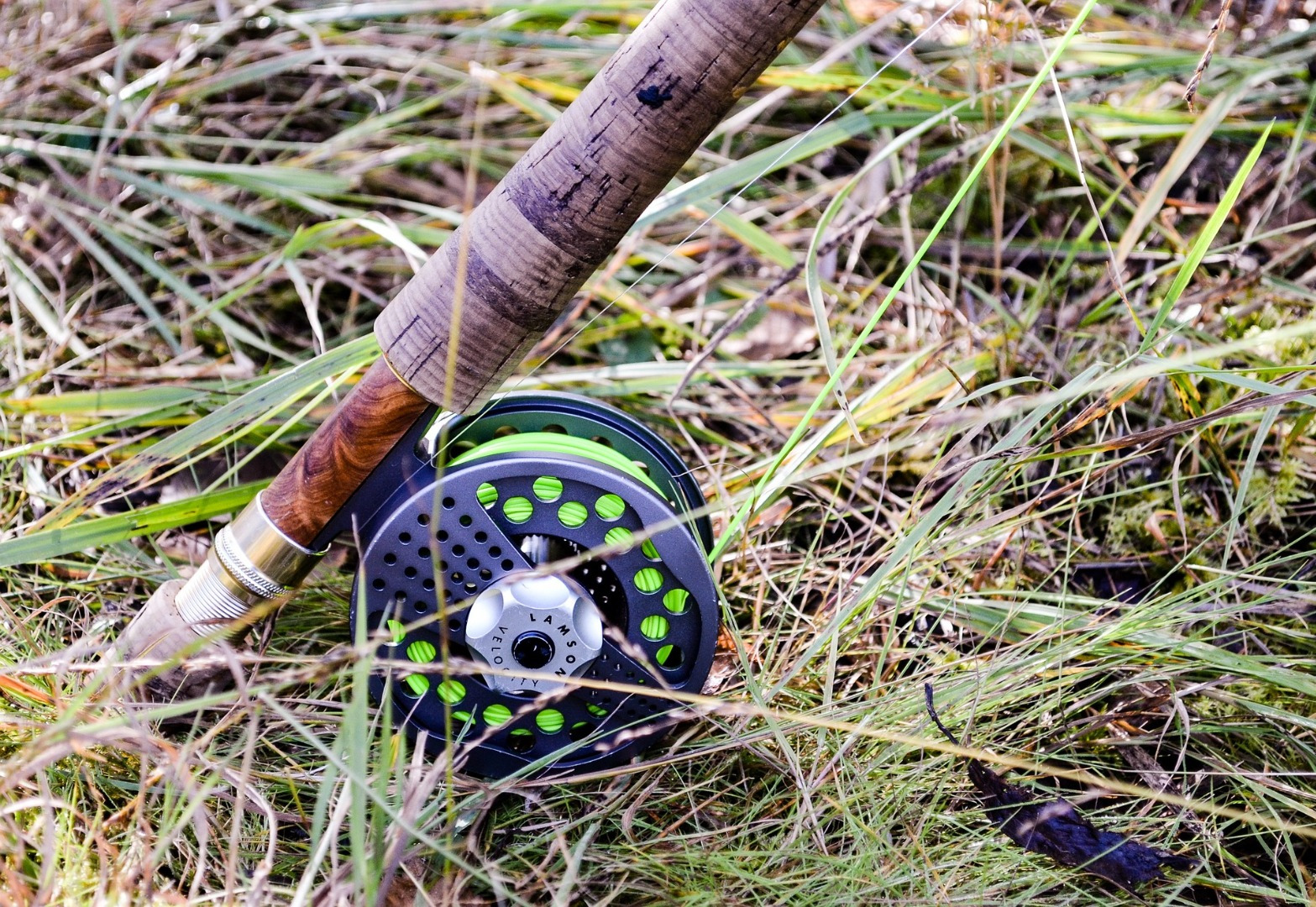 Fly rod leaning up in long grass