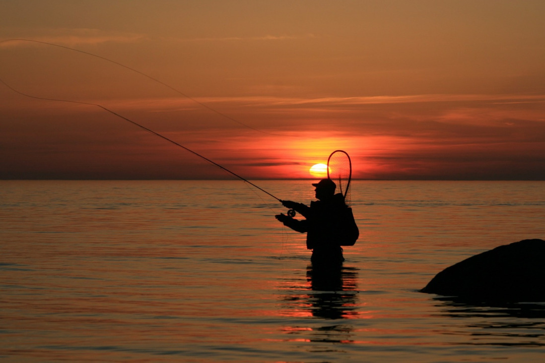 Fly fisher with sunset in the background