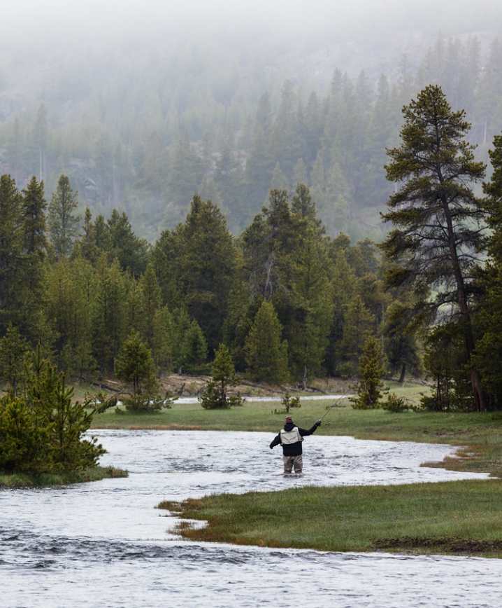 Fly fishing a foggy morning river