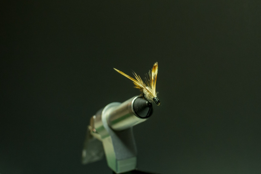 Fly in fly tying vise