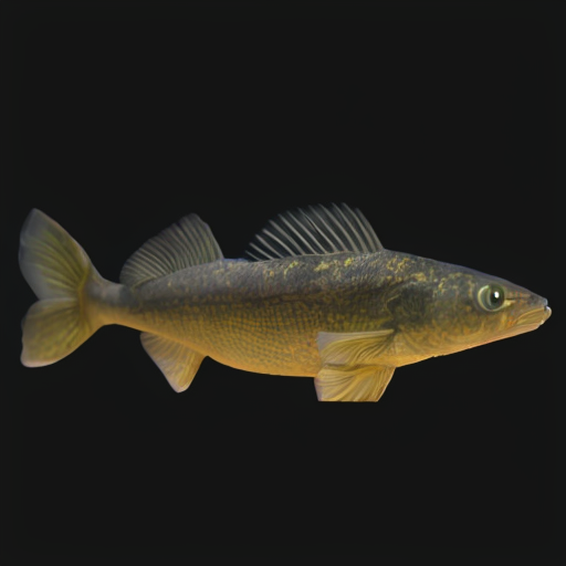 Animated Walleye