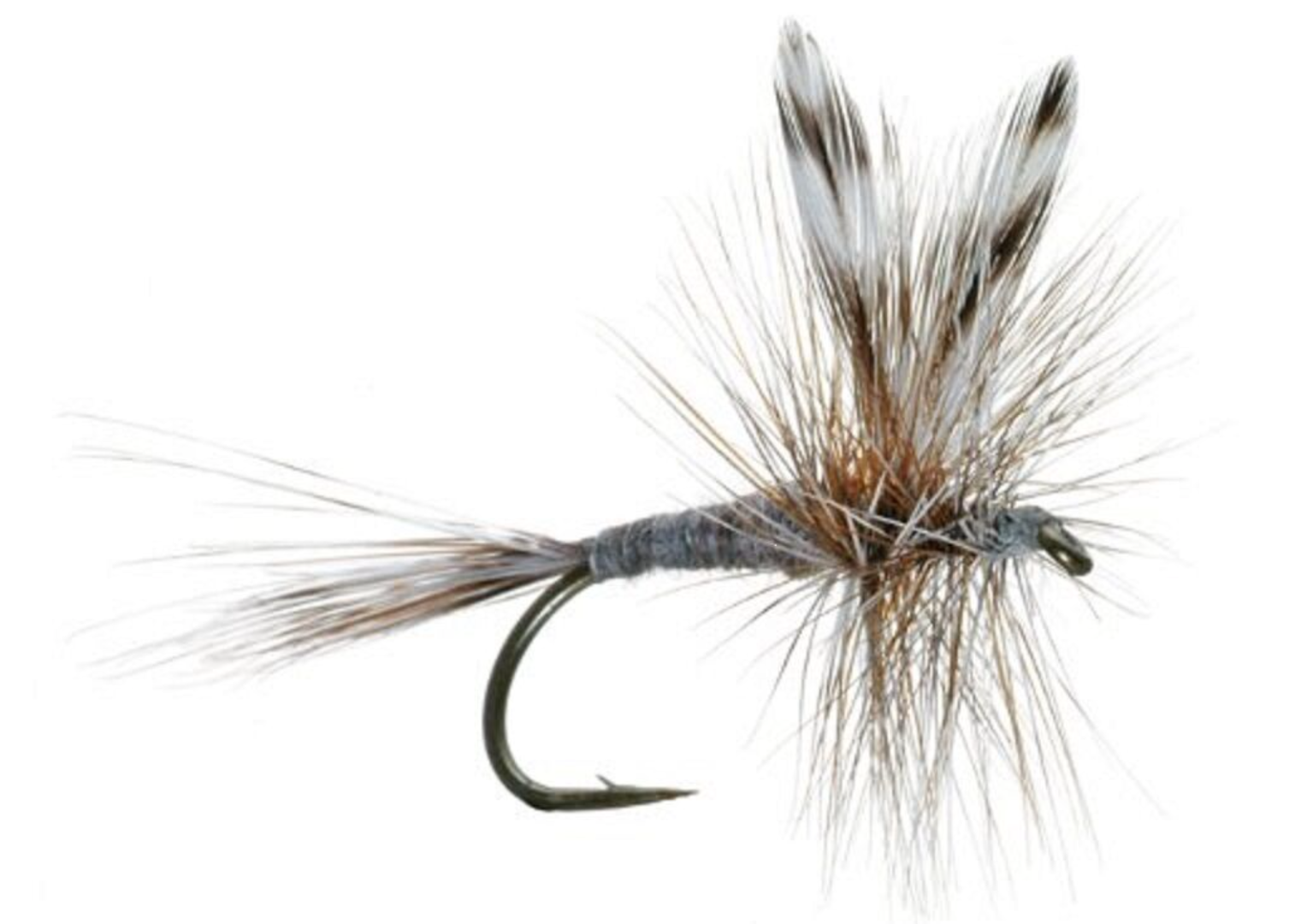 A female adams dry fly